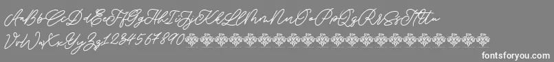 SaturdayChampagneDemo Regular-Schriftart – Weiße Schriften auf grauem Hintergrund