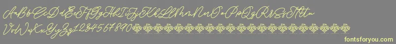 SaturdayChampagneDemo Regular-Schriftart – Gelbe Schriften auf grauem Hintergrund