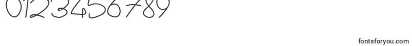 sayyidati demo-Schriftart – Schriften für Zahlen und Nummern