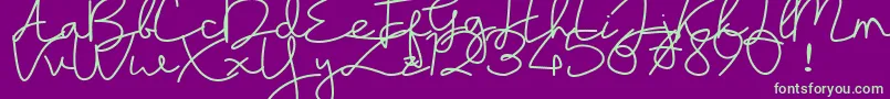Weitere Informationen zur sayyidati demo-Schriftart sayyidati demo-Schriftart – Grüne Schriften auf violettem Hintergrund