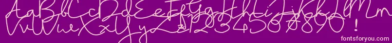 sayyidati demo Font – Pink Fonts on Purple Background