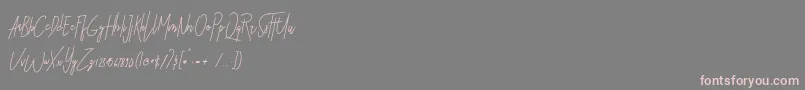 Sbastian Font – Pink Fonts on Gray Background