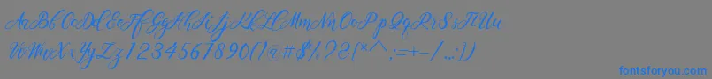 Scallion Font – Blue Fonts on Gray Background