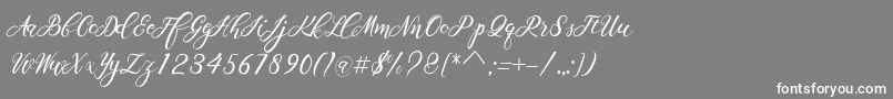 Scallion Font – White Fonts on Gray Background