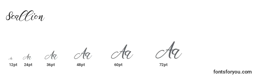 Scallion Font Sizes