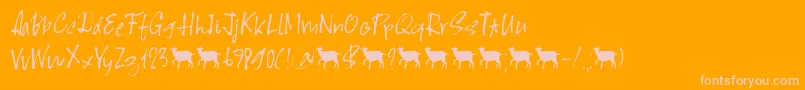 Scapegoat DEMO-Schriftart – Rosa Schriften auf orangefarbenem Hintergrund