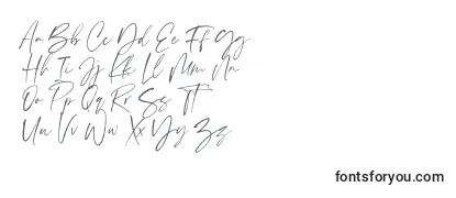 Scatter ink Font