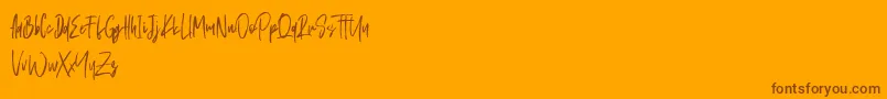 Schrader Font – Brown Fonts on Orange Background