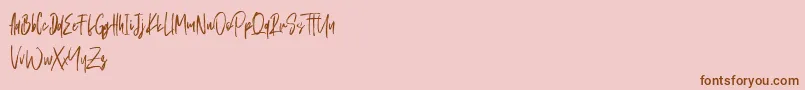 Schrader Font – Brown Fonts on Pink Background