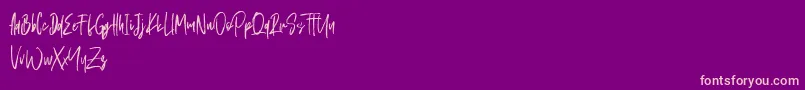 Schrader Font – Pink Fonts on Purple Background