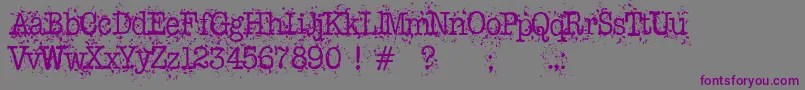 Schreibmaschine Font – Purple Fonts on Gray Background