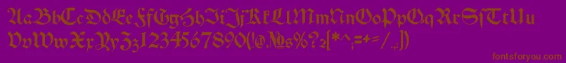 Schwaben Alt Bold Font – Brown Fonts on Purple Background