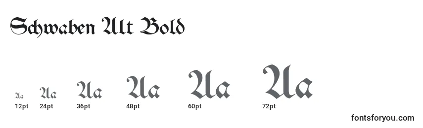 Schwaben Alt Bold Font Sizes