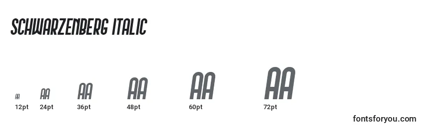 Размеры шрифта Schwarzenberg Italic