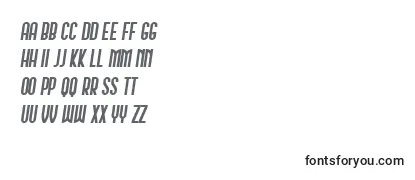 Обзор шрифта Schwarzenberg Italic