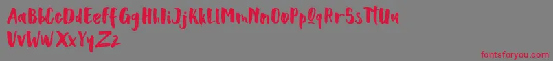 Scoothlane Sans Brush Font – Red Fonts on Gray Background