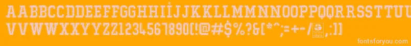 TypoCollegeDustyDemo Font – Pink Fonts on Orange Background