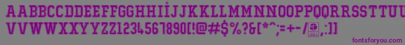 フォントTypoCollegeDustyDemo – 紫色のフォント、灰色の背景