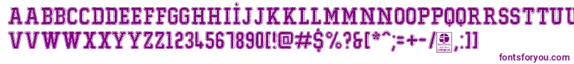 TypoCollegeDustyDemo Font – Purple Fonts