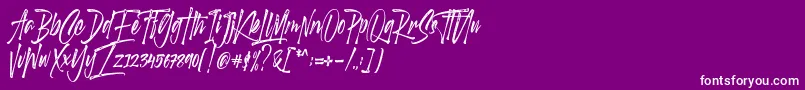 Scotland stories DEMO-Schriftart – Weiße Schriften auf violettem Hintergrund