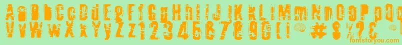 Toota Font – Orange Fonts on Green Background