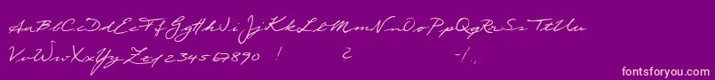 fuente Scribble – Fuentes Rosadas Sobre Fondo Morado