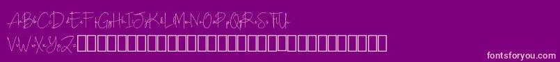 Scripty Demo Font – Pink Fonts on Purple Background