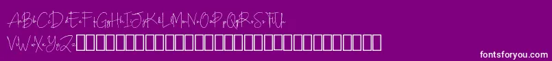 Czcionka Scripty Demo – białe czcionki na fioletowym tle