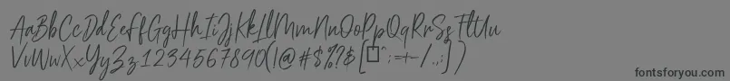 Scriptyca Font – Black Fonts on Gray Background