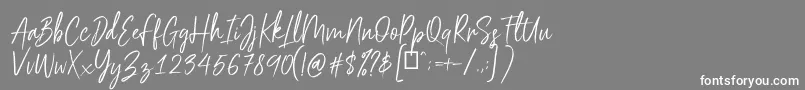 フォントScriptyca – 灰色の背景に白い文字