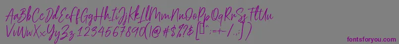 Scriptyca Font – Purple Fonts on Gray Background