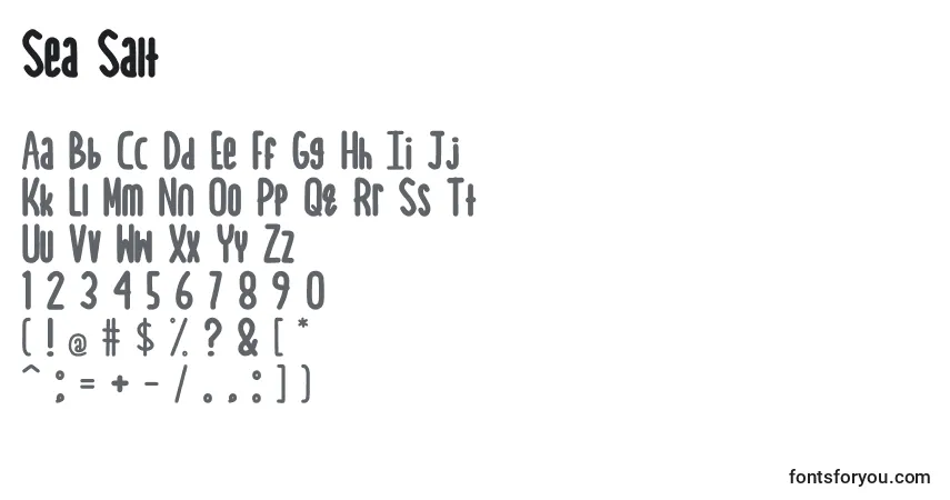 A fonte Sea Salt – alfabeto, números, caracteres especiais