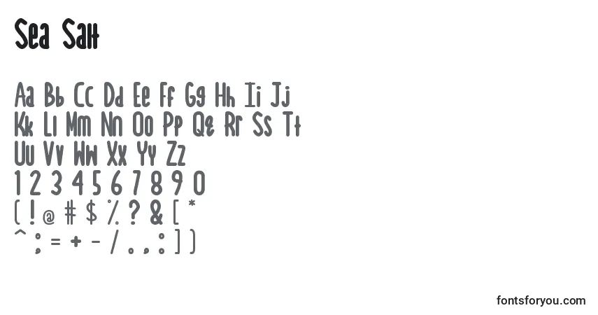 A fonte Sea Salt (139840) – alfabeto, números, caracteres especiais