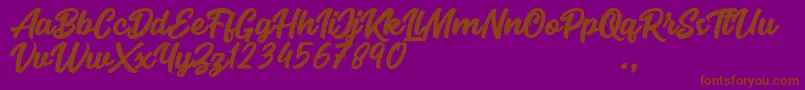 Seact Clean Font – Brown Fonts on Purple Background