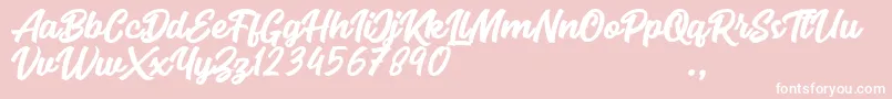 Seact Clean-Schriftart – Weiße Schriften auf rosa Hintergrund