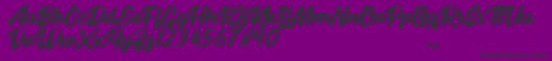 Seact Rough-Schriftart – Schwarze Schriften auf violettem Hintergrund