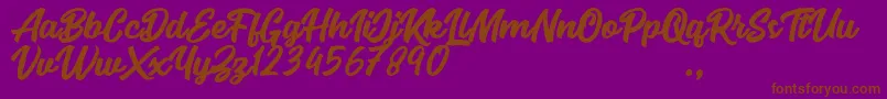 Seact Rough Font – Brown Fonts on Purple Background