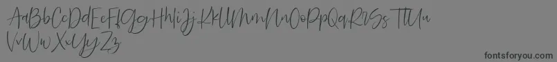 Searches DEMO Font – Black Fonts on Gray Background