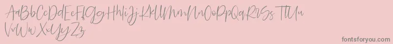 Searches DEMO Font – Gray Fonts on Pink Background