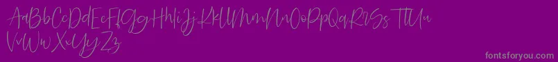 Searches DEMO Font – Gray Fonts on Purple Background