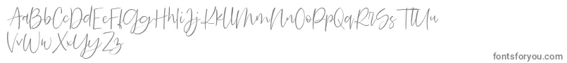 Searches DEMO-Schriftart – Graue Schriften auf weißem Hintergrund