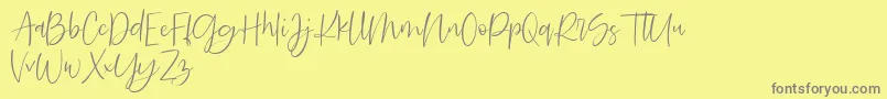 Searches DEMO-Schriftart – Graue Schriften auf gelbem Hintergrund