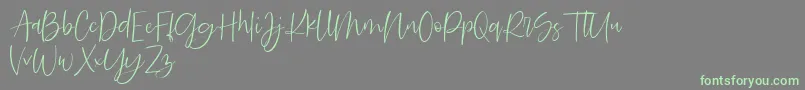 Searches DEMO Font – Green Fonts on Gray Background