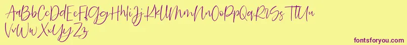 Searches DEMO Font – Purple Fonts on Yellow Background