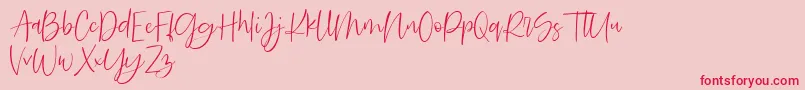 Searches DEMO Font – Red Fonts on Pink Background