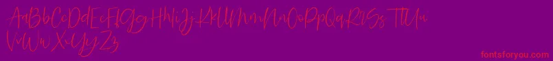 Searches DEMO Font – Red Fonts on Purple Background