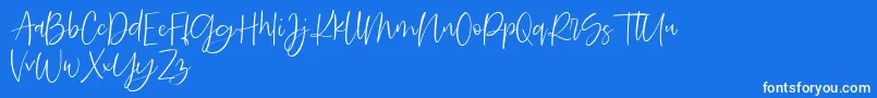 Searches DEMO Font – White Fonts on Blue Background