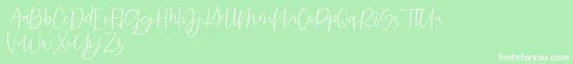 Searches DEMO Font – White Fonts on Green Background