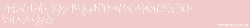 Searches DEMO Font – White Fonts on Pink Background