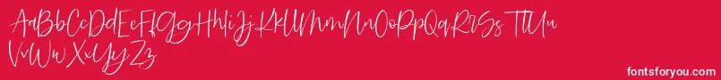 Searches DEMO Font – White Fonts on Red Background